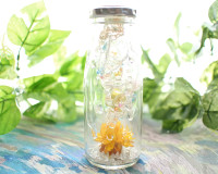 花と雨のボトル