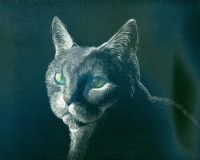 看板猫〜パステル色鉛筆画