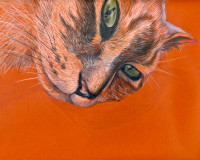 うちの末っ子〜パステル色鉛筆画